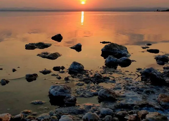 A Orillas Del Mar * Torrevieja